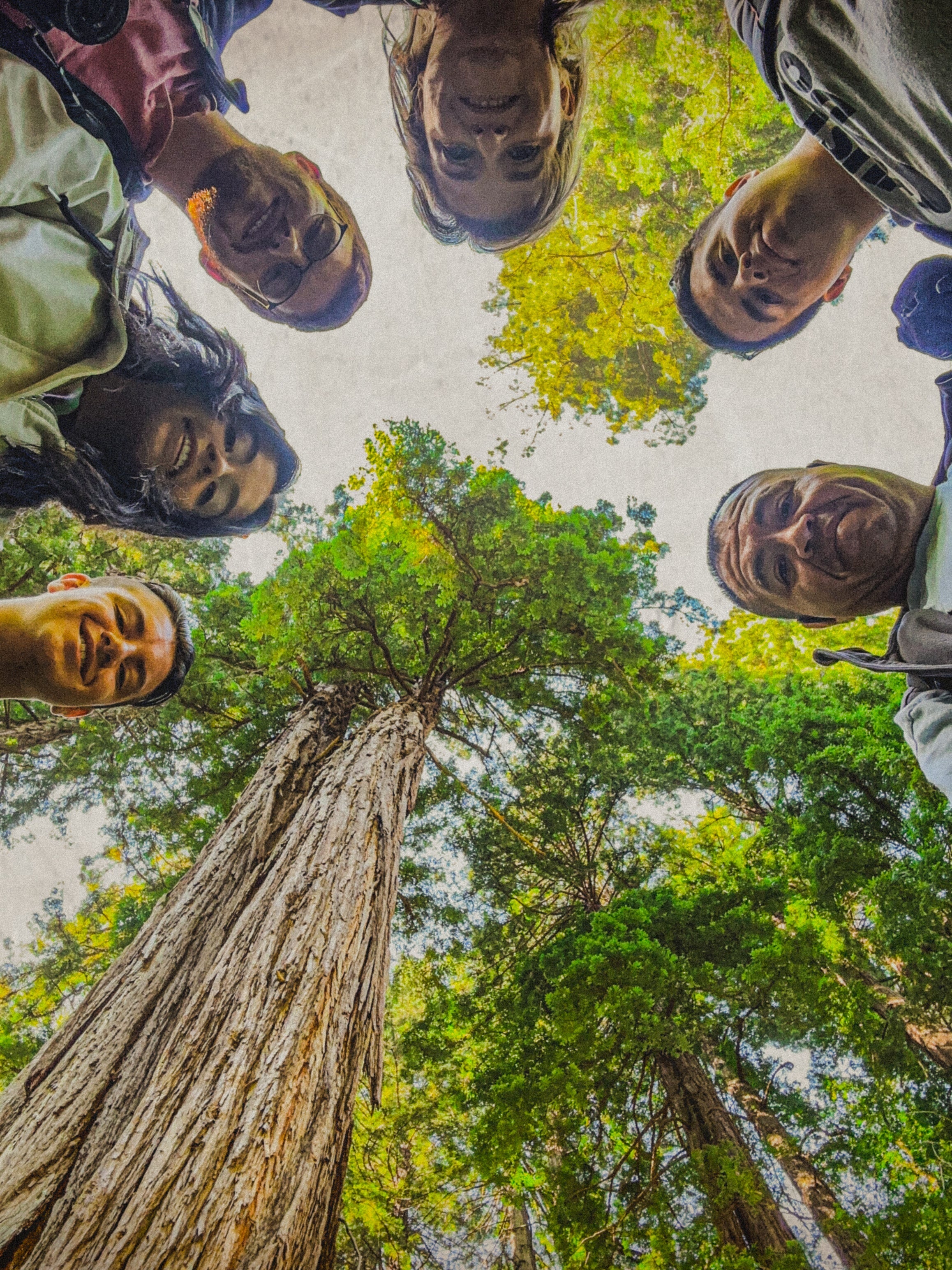 August 2023 family selfie looking up at towering redwoods in Muir Woods National Monument, California
